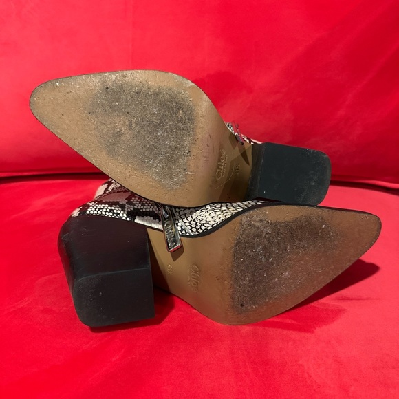 CHLOE python print ankle boots size 41.5 fits like a US 10. - Picture 2 of 5